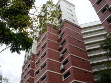 tampines-street-71 photo thumbnail #12